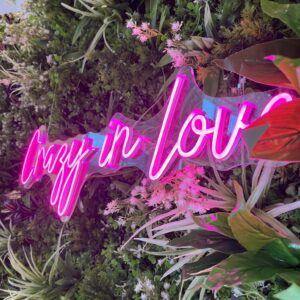 celebrating love IMG 1