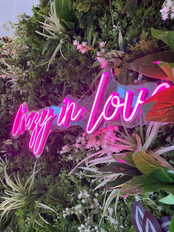 celebrating love IMG 1