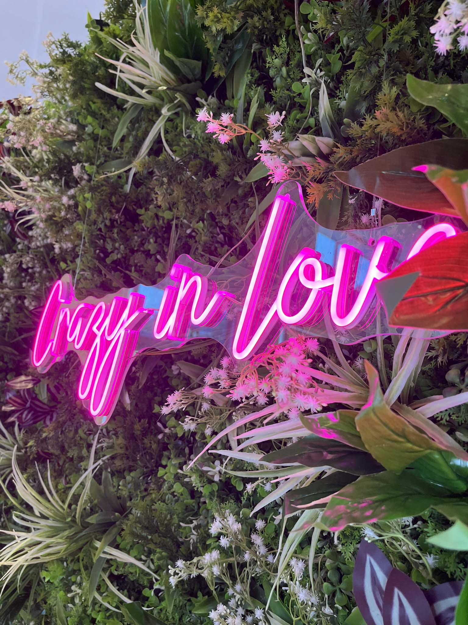 celebrating love IMG 1